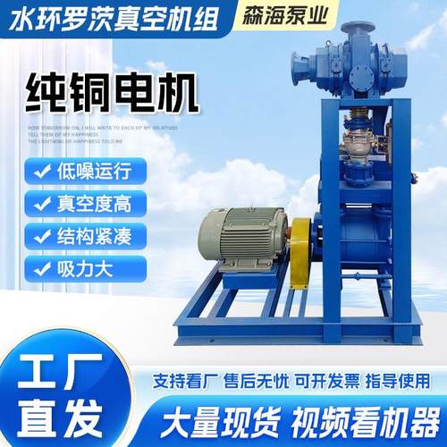工厂直发水环罗茨真空机组高真空大流量罗茨水环真空泵抽真空设备