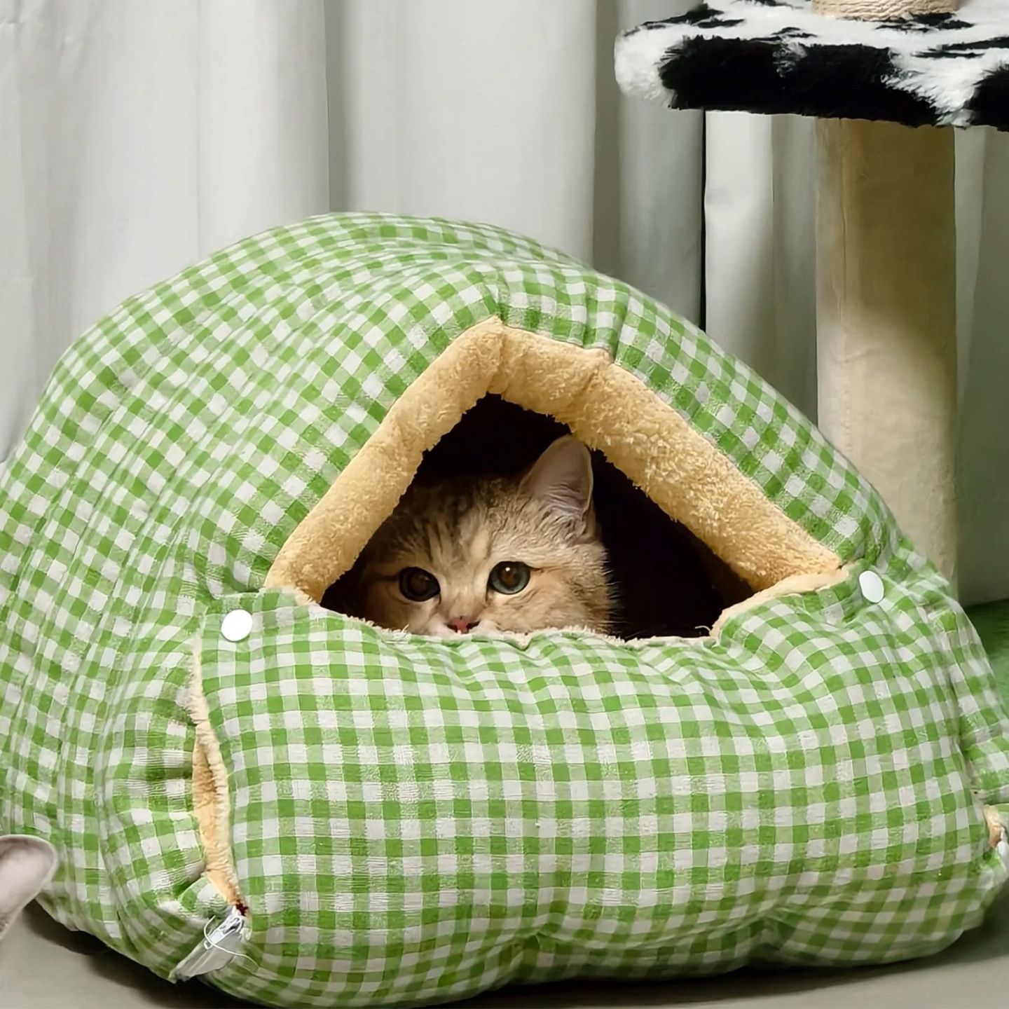 猫窝冬季保暖封闭式安全感猫床小型犬狗窝四季通用猫咪睡袋宠物窝