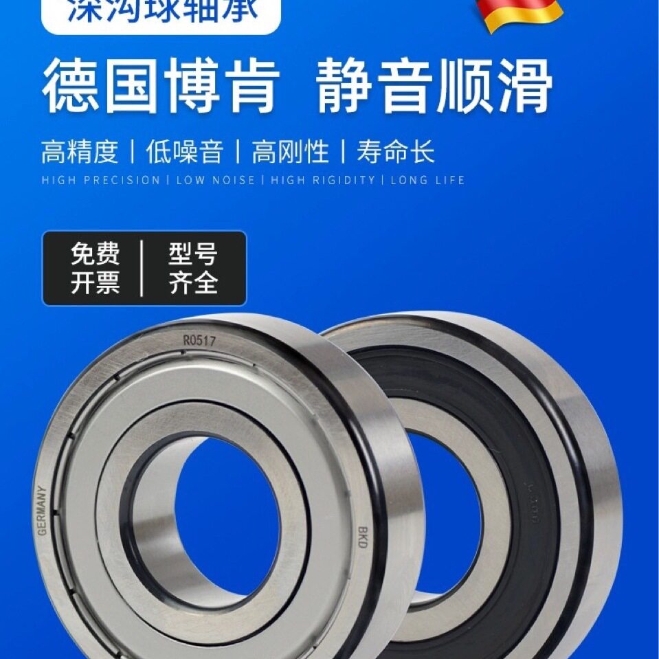 BKD德国进口轴承6201高速6202轴承型号大全6203 6204 6205 6206RS