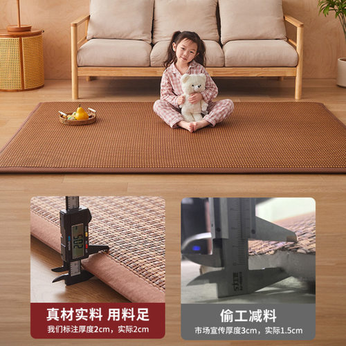 2025新款凉席地垫睡觉打地铺神器榻榻米床垫爬爬垫家用席子藤席垫