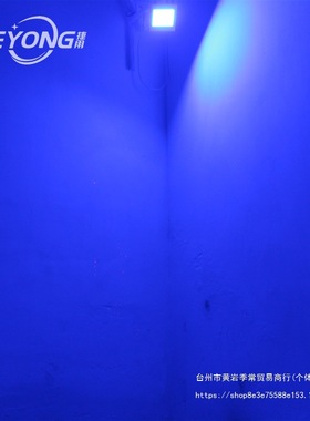 捷用 LED小丽彩频闪灯 包房爆闪灯 KTV灯光蹦迪闪光灯 激光灯