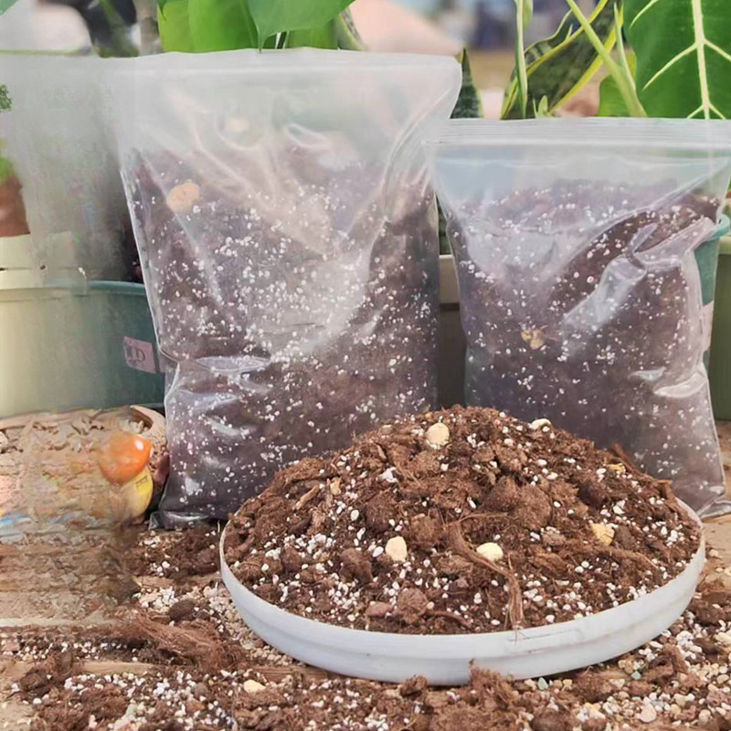 天南星科专用土龙鳞春羽龟背竹海芋秋海棠蔓绿绒花烛营养土种植土