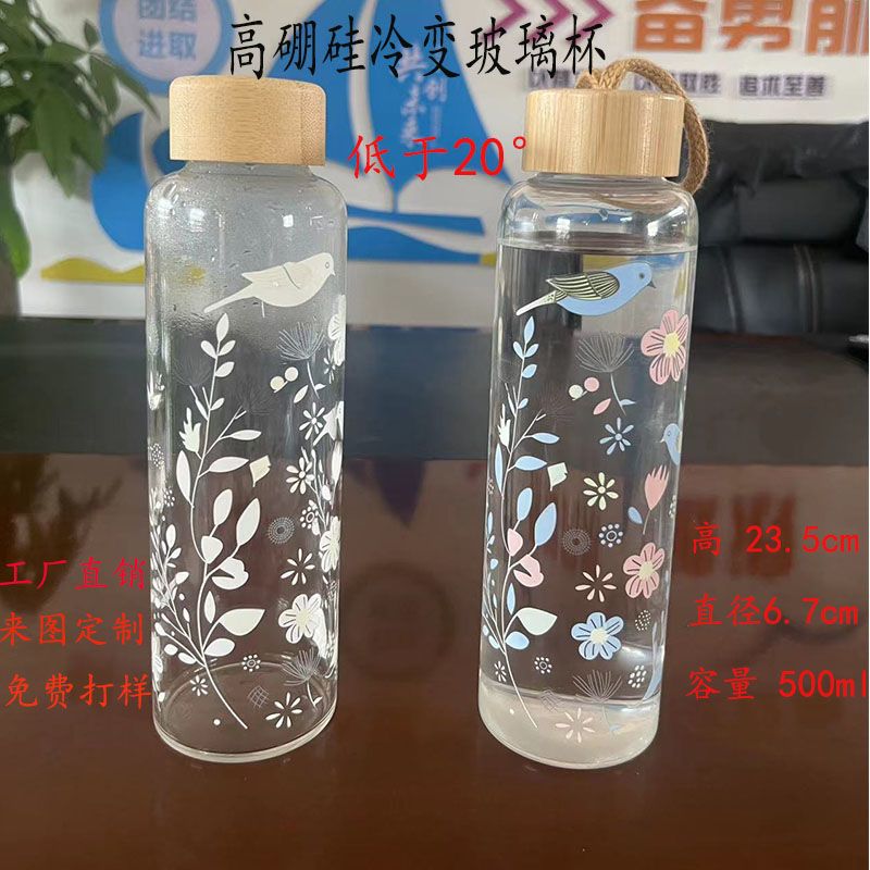 盖冷喝水杯高硼硅玻璃花木高颜值变色便携式新款提绳杯大容量