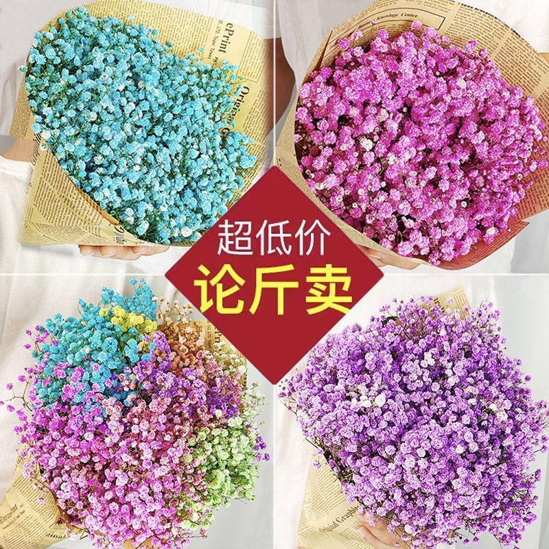 满天星干花花束客厅摆设鲜插真花装饰摆件包装送人 论斤卖