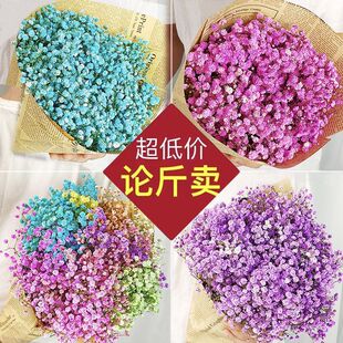 满天星干花花束客厅摆设鲜插真花装饰摆件包装送人 论斤卖