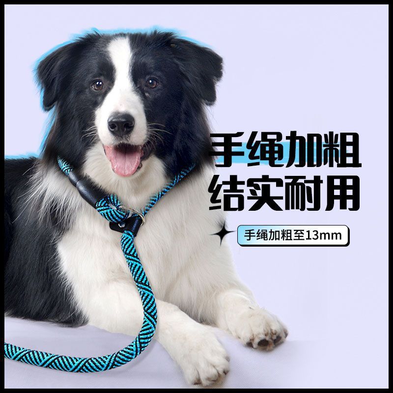 p绳防爆冲遛狗狗牵引绳训练边牧金毛柯基链幼小中大型犬宠物项圈