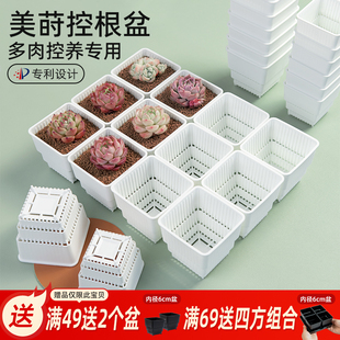 美莳多肉控根花盆透气塑料树脂万象青山生石花专用育苗小黑白方盆
