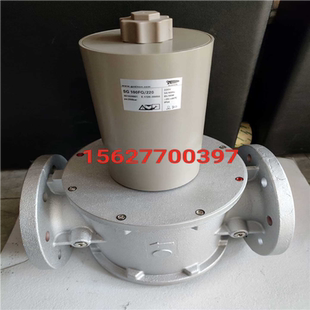 220施能电磁阀SG100F02NT33 议价 SG100FQ