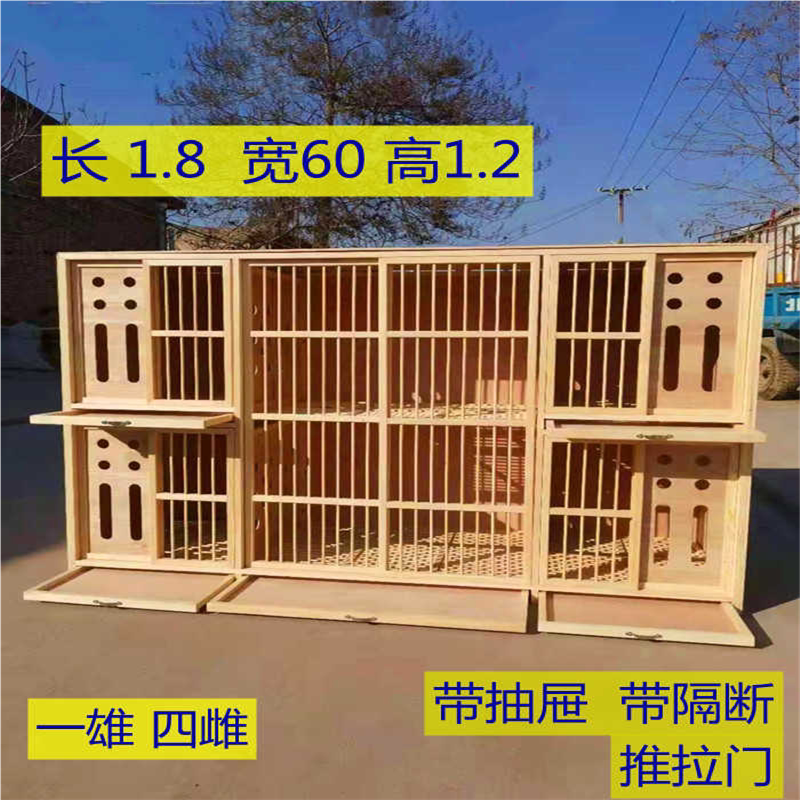 小型鸽舍一雄双雌一公两母一配二一雄多雌配对笼厂家直销支持定做