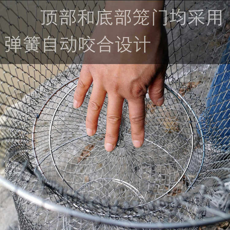钢丝鱼护防挂鱼篓折叠便携网兜海钓昂刺鱼溪流路亚不锈钢金属渔护