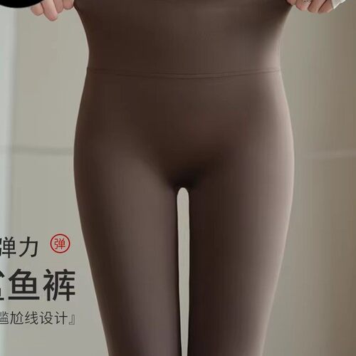 鲨鱼裤女外穿2026锻炼秋新款高腰内搭裤收腹提臀紧身显身材