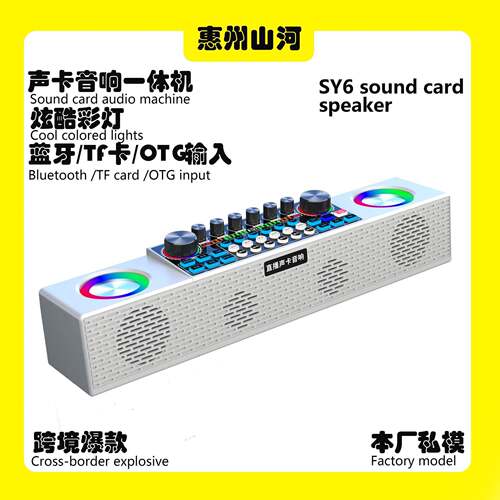SY6直播声卡音响一体机家庭KTV无线麦克风k歌神器话筒便携式音响