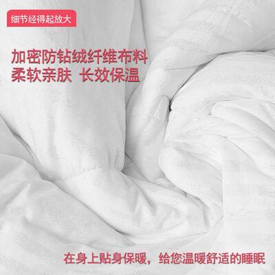 酒店民维宿冬被色羽丝绒被子芯褥子学生被AL201208白宿舍被厚被子