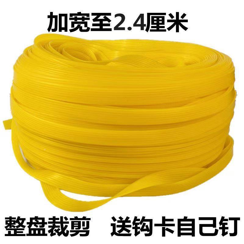 实牛筋绑带弹力绳捆篷绑带968货带行李松心紧绳封快递布绳皮筋酒
