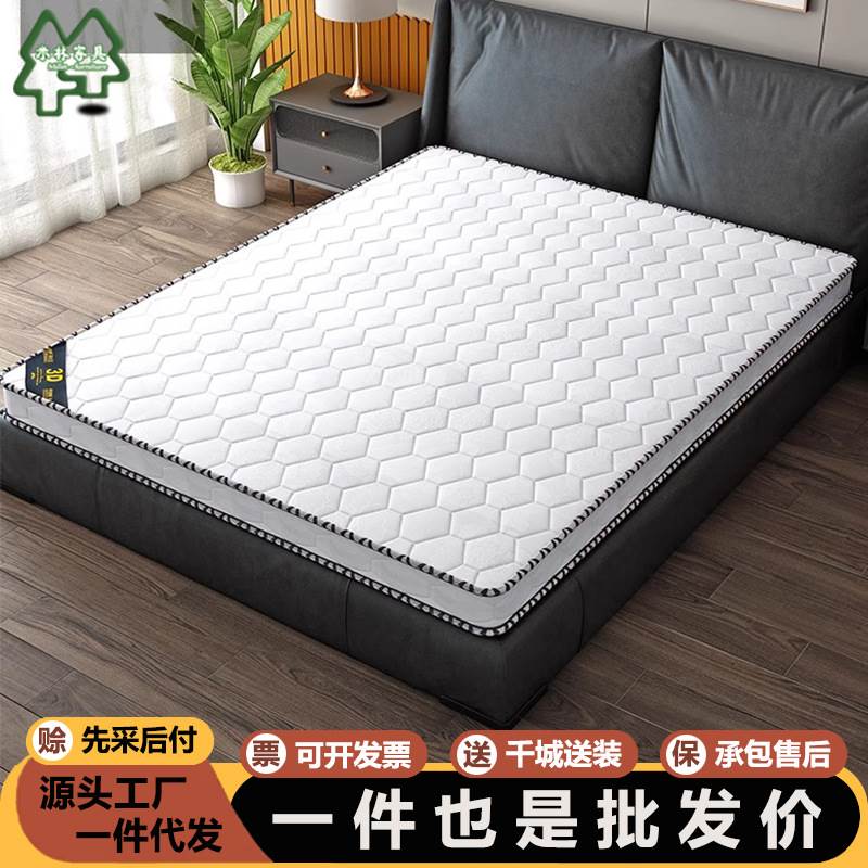 床垫席梦思环保椰棕床垫1.2/1.5/1.8/2.2*2米5/10cm薄垫子家用