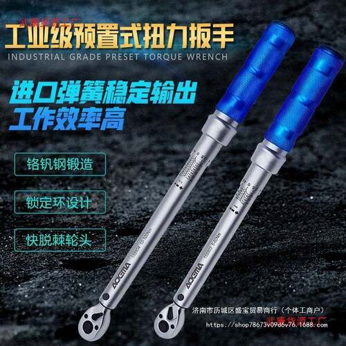 艾玛扭力扳手刻度式扭矩棘扳轮手可调653式公扳斤德大飞高精度手