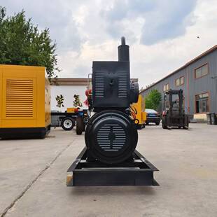 30千瓦柴油用发电机组NYL100千瓦柴油发电机组工厂电养殖备现发机