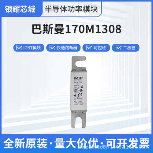 巴斯曼170M1308低压熔断器22+