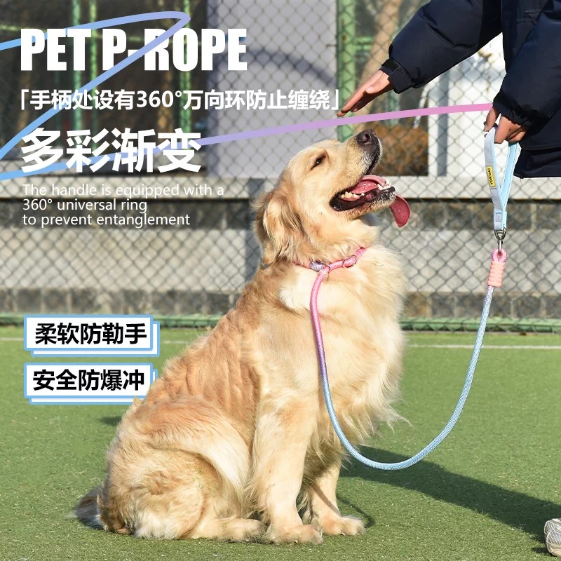 狗狗绳子防爆冲P链遛狗牵引绳防挣脱狗链子中大型犬防爆冲拴狗绳