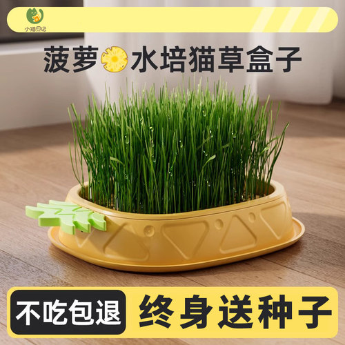 猫草盆栽种子水培化毛草猫薄荷小麦猫咪零食用品种植植物小零食
