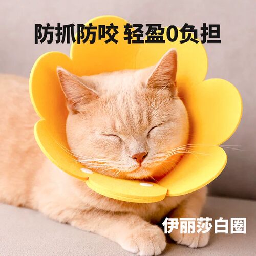 猫狗伊丽莎白圈术后防舔项圈