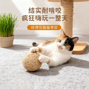 猫玩具剑麻球超大自嗨解闷神器逗猫棒磨牙耐咬发声球猫咪用品大全