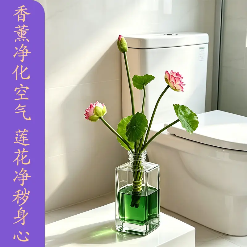 老师推荐荷花净秽莲花净污香薰