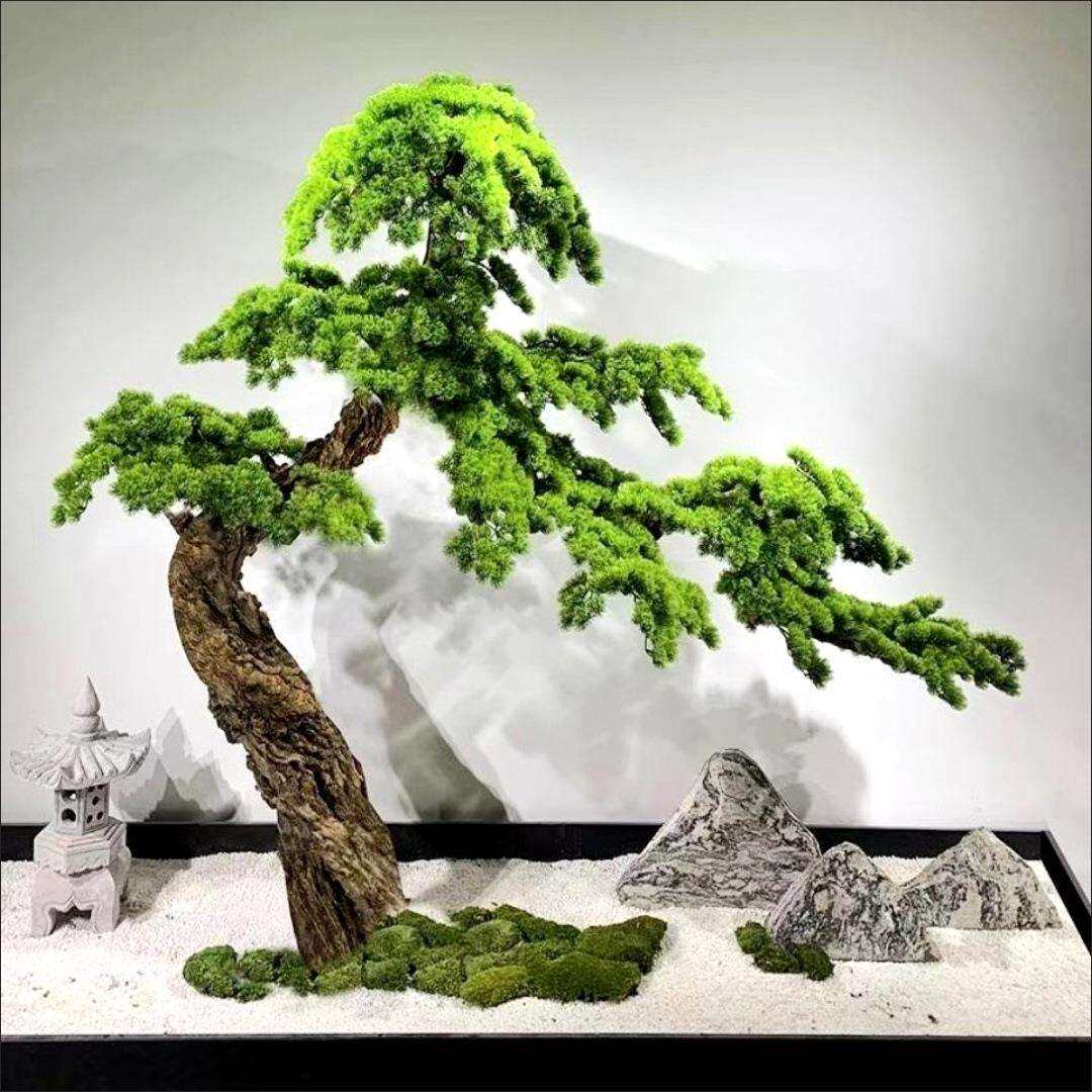 盆栽铺路石汉白玉白色石头小石子绿化景观造景鹅卵石装饰