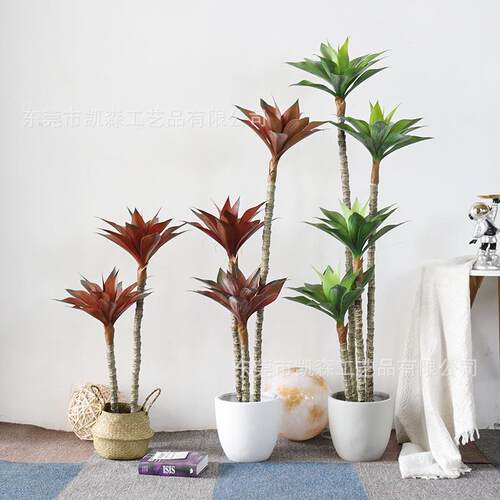 仿真绿植龙舌兰造景盆栽室内客厅装饰龙血兰假植物摆件树真
