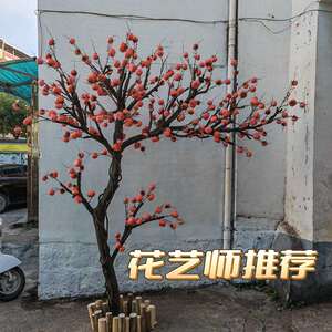 新款柿子树假果树中式庭院造景盆景绿植室内装饰树福榕园