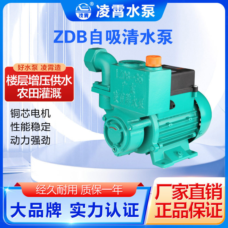 广东凌霄1ZDB-35/45/65清水管道增压循环泵抽水泵家用自吸泵220V