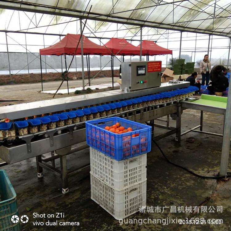 海产品重量分选机价格海鲜自动分级机--山东广昌机械