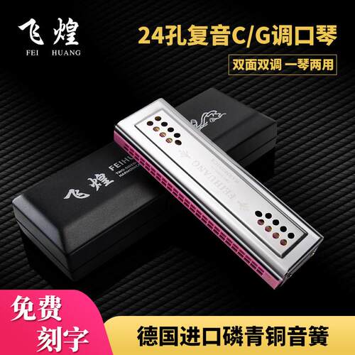 飞煌口琴24孔C调G调双面复音口琴初学成人自学练习演奏双调口吹琴