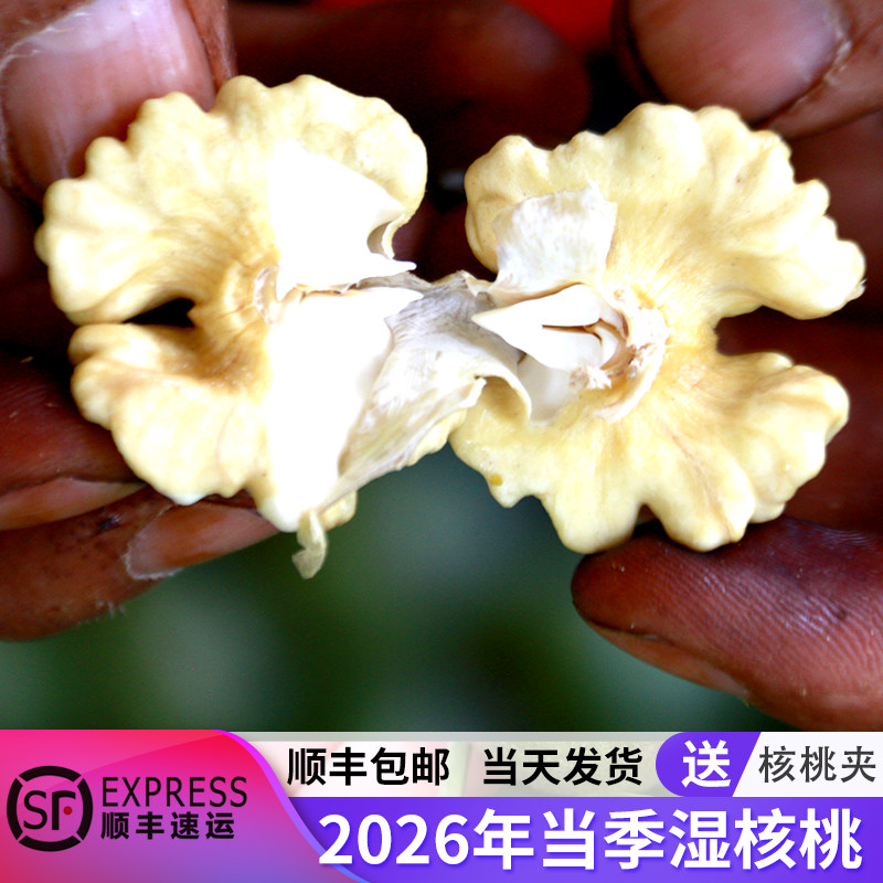 陕西薄皮核桃现剥现发口感脆甜