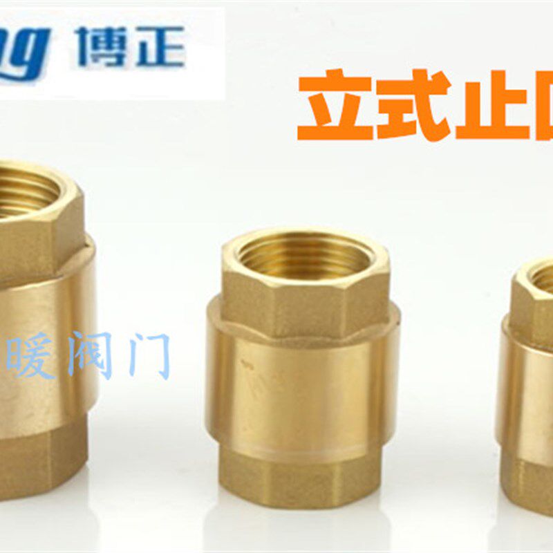 博正全铜立式止回阀 单流 单向阀 4 6分 1寸到50逆止阀止逆阀