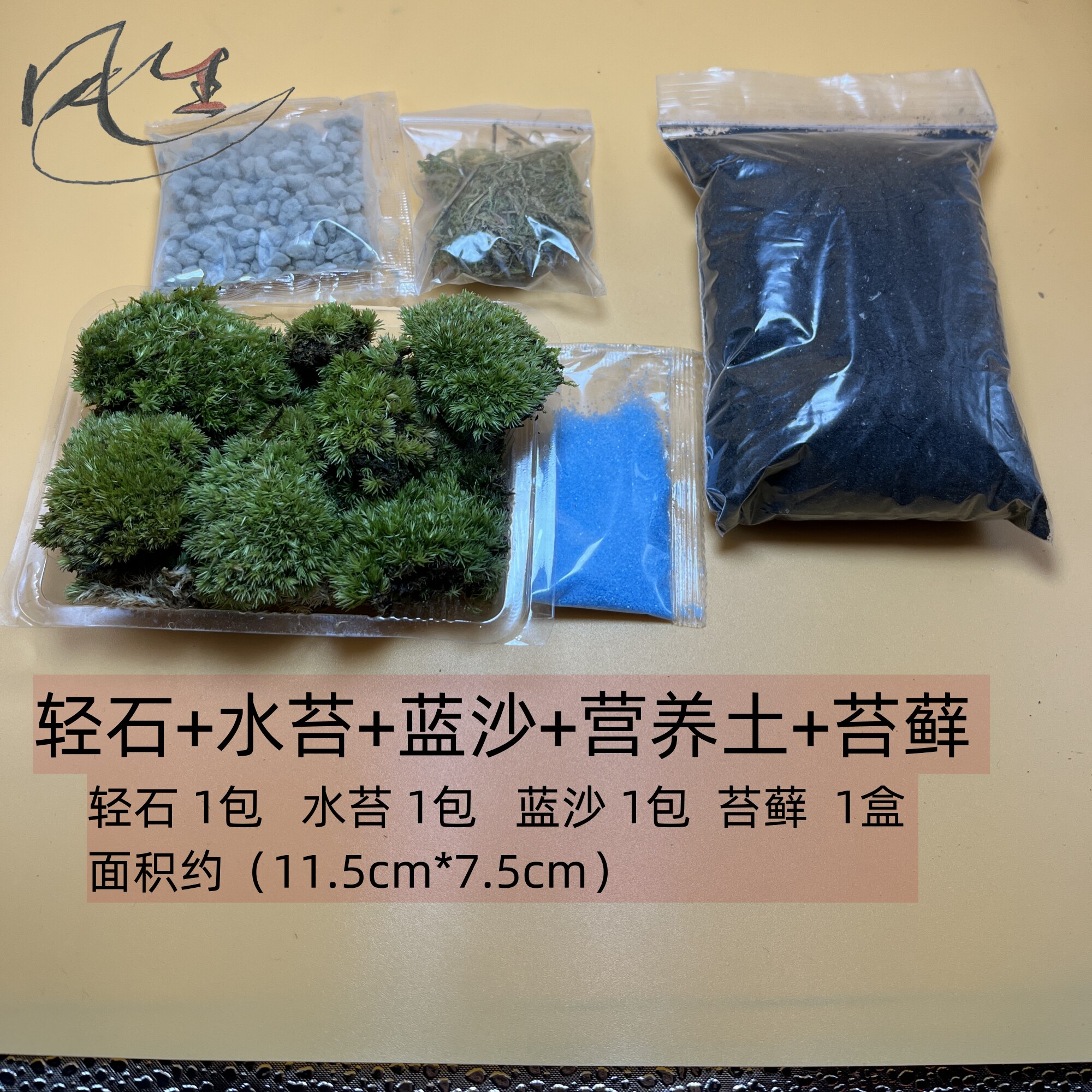 微景制作观材料 diy植物盆栽 苔藓 人气绿植办公室小花农满19包邮