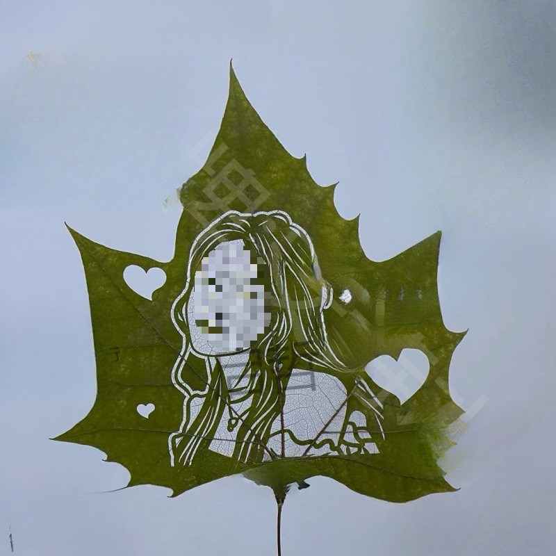 片叶叶子手工梧桐叶