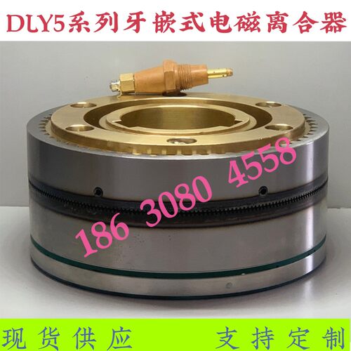 DLY5系列2A40A100A大力矩牙嵌式电磁离合L器DC24V现货供应支持定