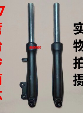 台铃电动车萌苏前减震器避震器小龟王专用原厂原车W配套电摩专用