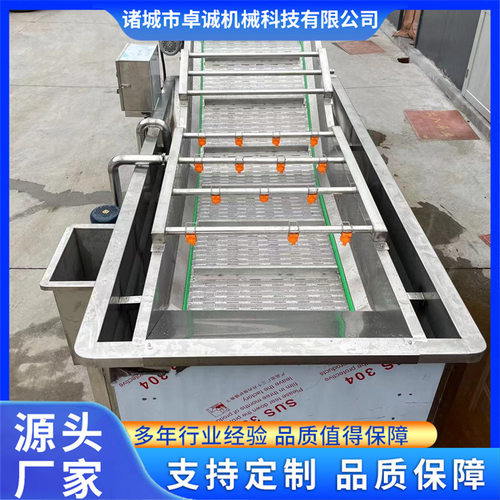 水果草莓气泡清洗机 车厘子樱桃蓝莓清洗设备 枇杷果洗果机