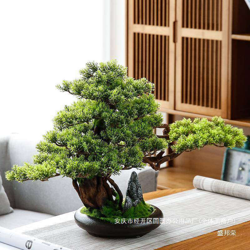 盆景绿植公盆栽65556558客厅电柜办室家居装饰迎客松玄新视中式摆