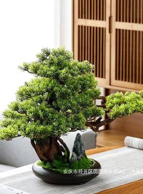盆景绿植公盆栽65556558客厅电柜办室家居装饰迎客松玄新视中式摆