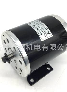 00W24V3奈6V48V尤5特永磁直WJP流有刷电机MY1200