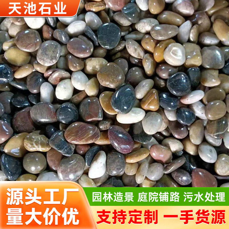 彩色抛光鹅卵石雨花石庭院铺设