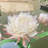 圣纸道手工新摄款 电动T052昙花橱窗美陈中S庭装 饰影婚FEB庆纸花