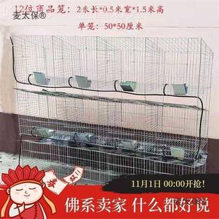 繁殖肉兔笼兔笼新笼子免清母兔大兔笼型子养殖粪母笼荷兰麦PZZ免