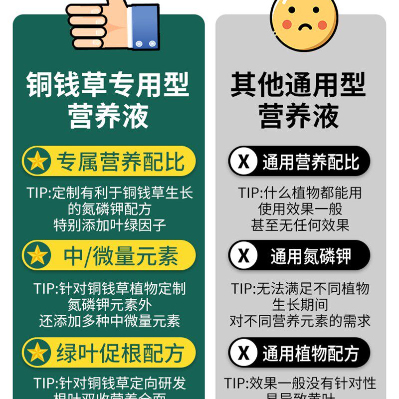 速发铜钱草肥营养液水养植物栽用盆家通培型水培钱币水用花肥