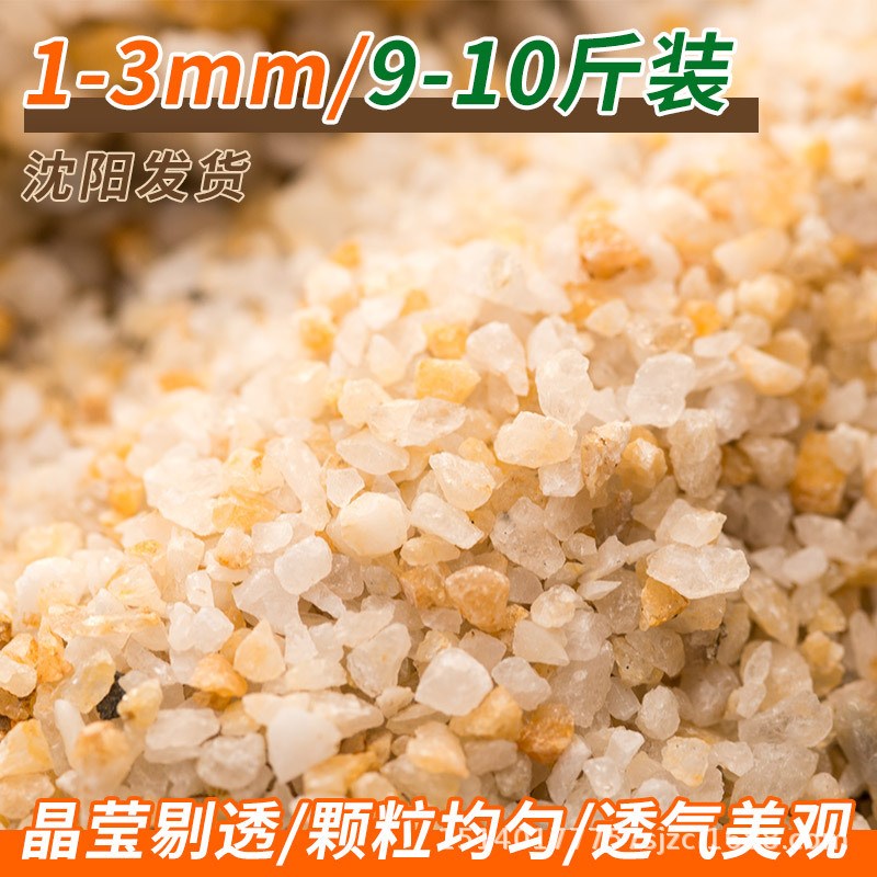 速发碗莲石子睡莲水培植物压土河沙砂鱼缸沙铺底砂石多肉铺面