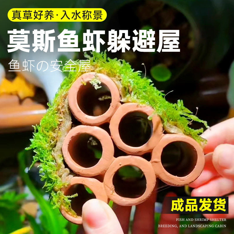 速发鱼缸莫斯水草植物造景躲避屋躲龟孔雀鱼小鱼虾陶瓷乌避屋摆件