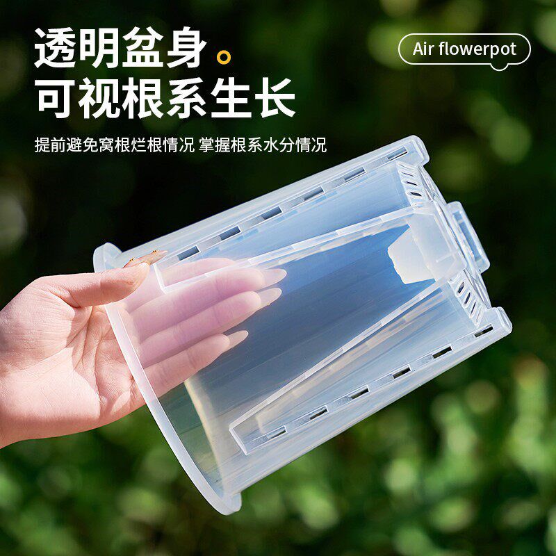 速发透明控根盆蝴蝶兰专用透气镂空塑料花盆青山兰花水苔花盆